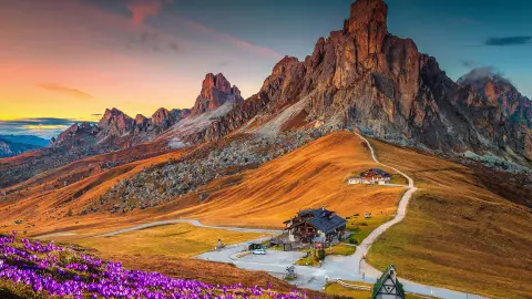 Nádherná alpská krajina s jarními květy krokusů na kopci a nádhernými horami při západu slunce, průsmyk Giau, Dolomity, Itálie, Evropa