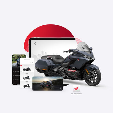 Zobrazení aplikace HONDA GL800 Gold Wing