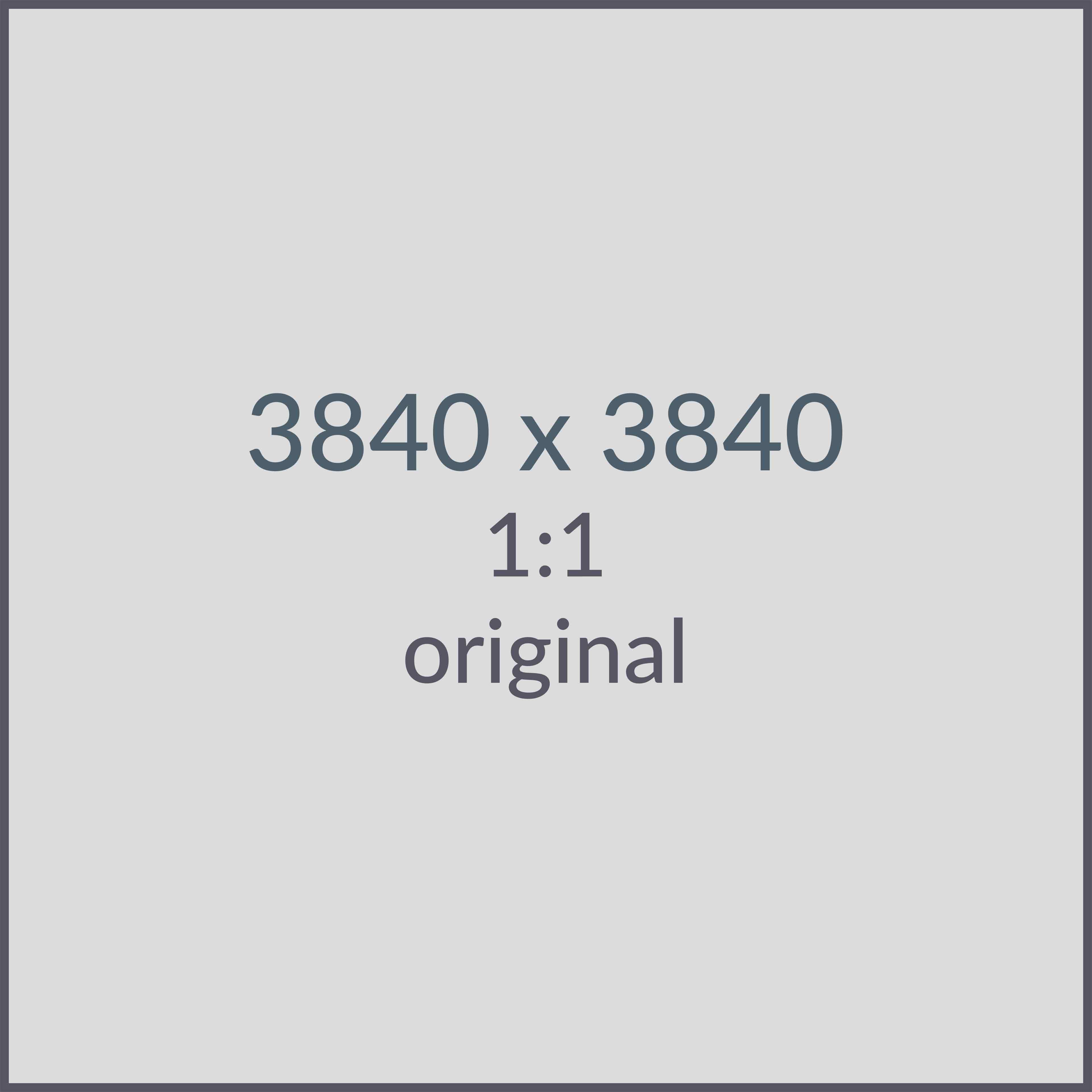 Description of 1:1 image